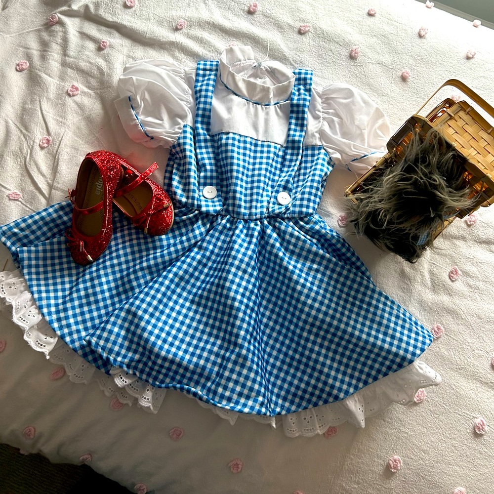 GUC Girl Dorothy Wizard of Oz Costume Small